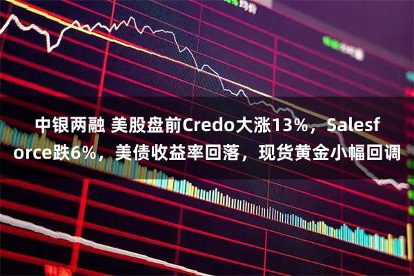 中银两融 美股盘前Credo大涨13%，Salesforce跌6%，美债收益率回落，现货黄金小幅回调