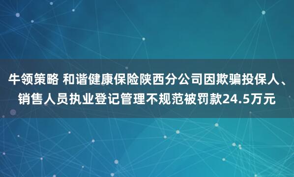 牛领策略 和谐健康保险陕西分公司因欺骗投保人、销售人员执业登记管理不规范被罚款24.5万元